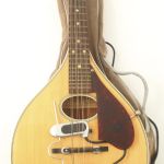 784 3601 Elmandolin